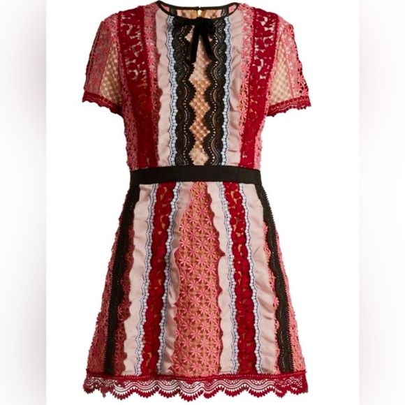 Self-Portrait Panelled Bellis Lace Trim Mini Dress (100% Authentic) - Picture 3 of 16